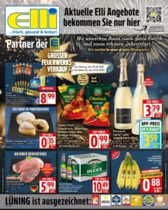Elli Markt Prospekt 29/12/2025 – 03/01/2026