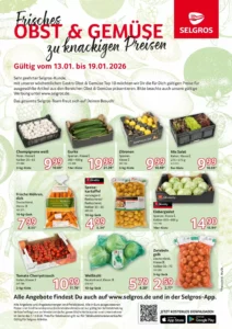 Selgros Prospekt 13/01/2026 – 20/01/2026