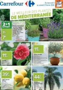 Catalogue Carrefour 04/02/2026 – 21/02/2026