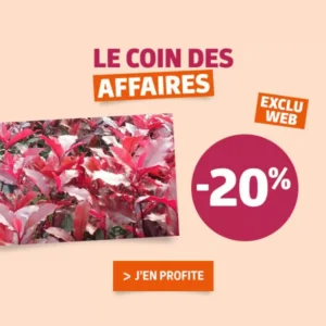 Catalogue Jardiland 30/12/2025 – 07/01/2026