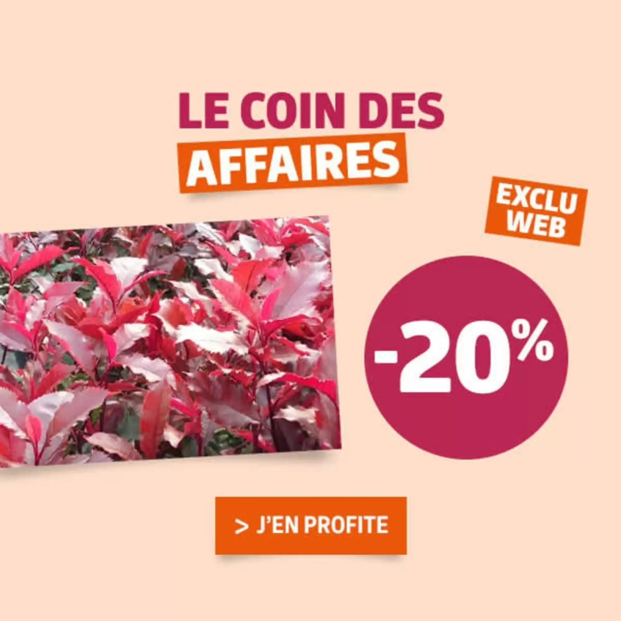 Catalogue Jardiland 30/12/2025 – 07/01/2026