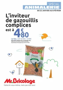 Catalogue Mr Bricolage 23/01/2026 – 08/02/2026