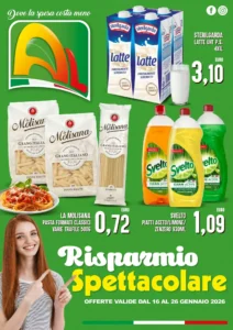 Volantino Al Discount 16/01/2026 – 26/01/2026