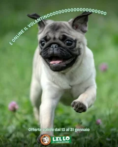 Volantino Lillo e i Vagabondi 13/01/2026 – 31/01/2026
