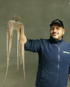 Volantino Mercogel 16/01/2026 – 07/02/2026