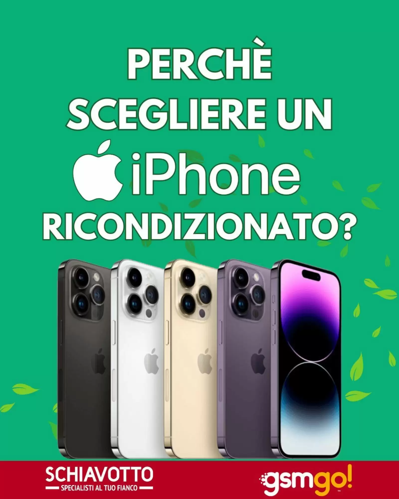 Volantino Schiavotto 12/01/2026 – 25/01/2026