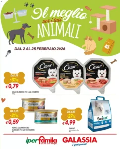Volantino Galassia 02/02/2026 – 25/02/2026