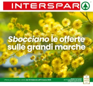Volantino Interspar 26/02/2026 – 11/03/2026