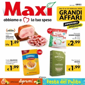 Volantino Maxi Supermercati 12/02/2026 – 25/02/2026