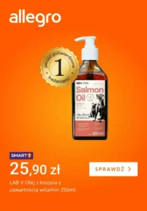 Allegro gazetka 09/01/2026 – 15/01/2026