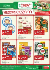 Delikatesy Centrum gazetka 19/02/2026 – 04/03/2026